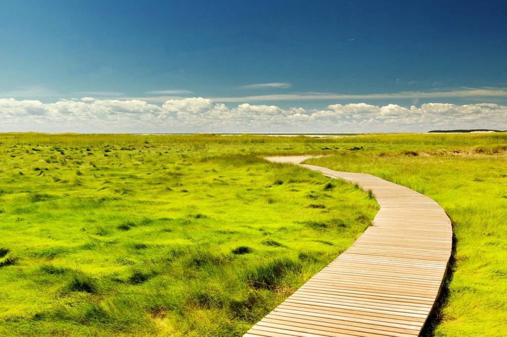 Local SEO Massachusetts, United States