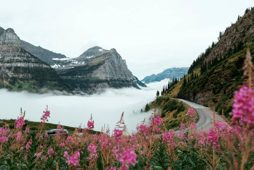 Local SEO Montana, United States