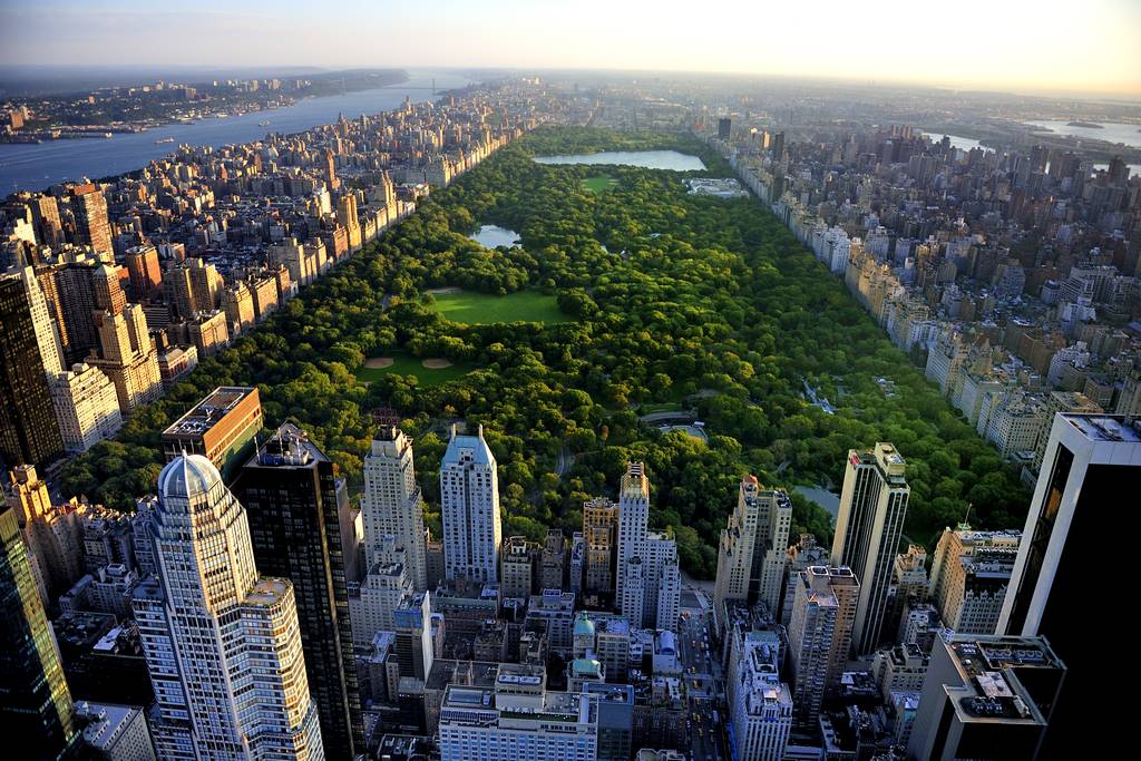 Local SEO New York City